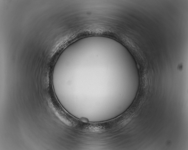 X0000116350638200912151352