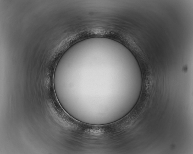 X0000116350639200912151352