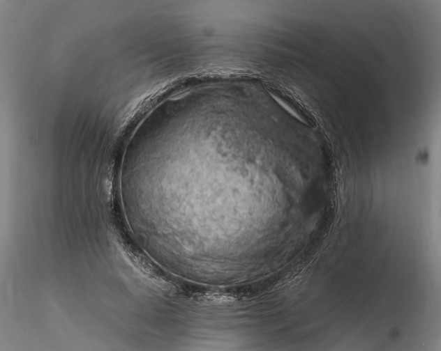 X0000116350640200912151352