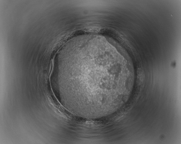 X0000116350641200912151352