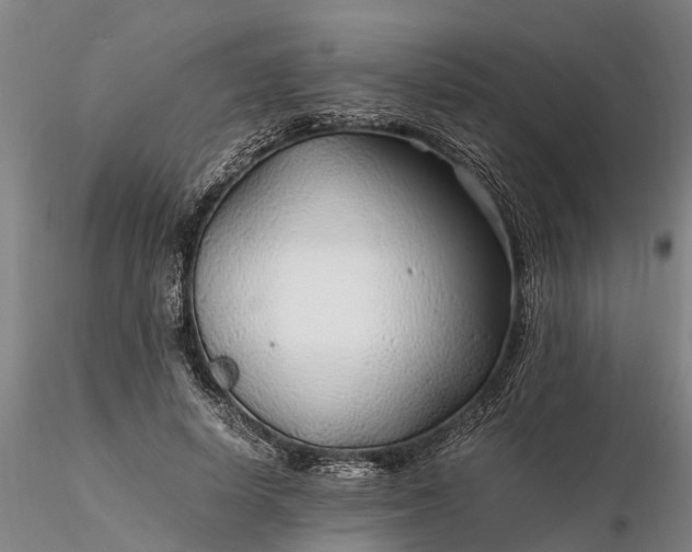 X0000116350642200912151352