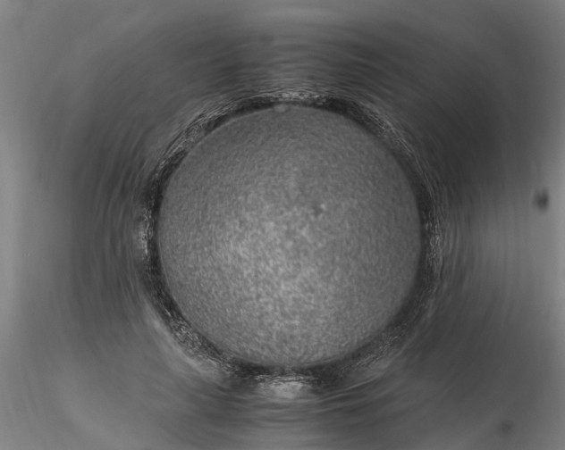 X0000116350643200912151352