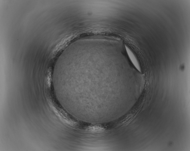 X0000116350644200912151352