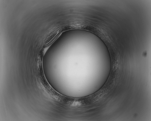 X0000116350647200912151352