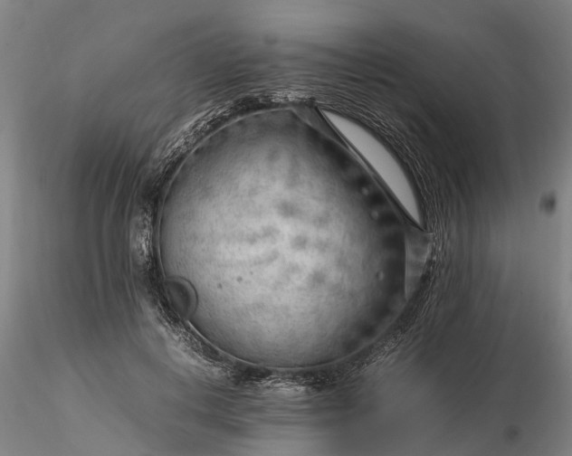 X0000116350648200912151352