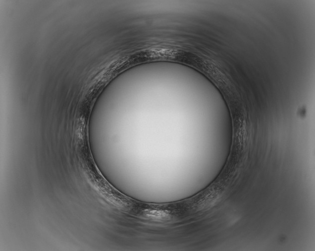 X0000116350649200912151352