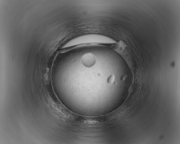 X0000116350650200912151352