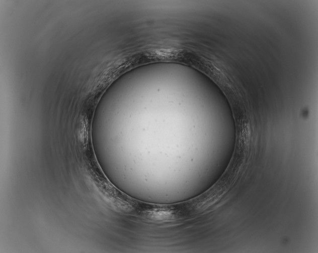 X0000116350651200912151352