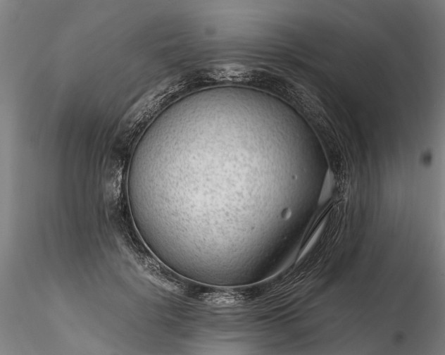 X0000116350652200912151352