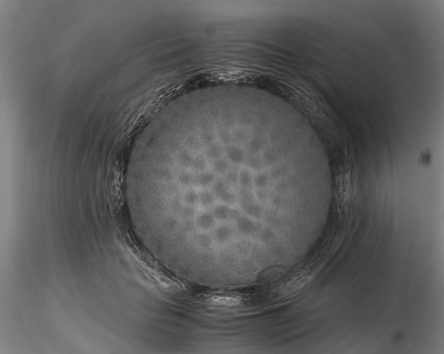 X0000116350653200912151352