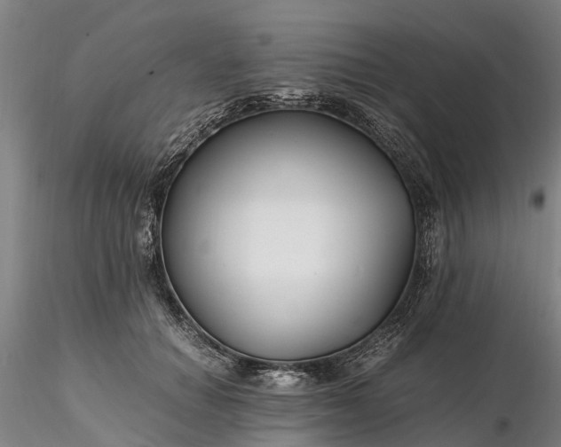 X0000116350654200912151352