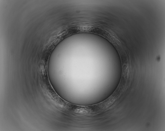 X0000116350655200912151352