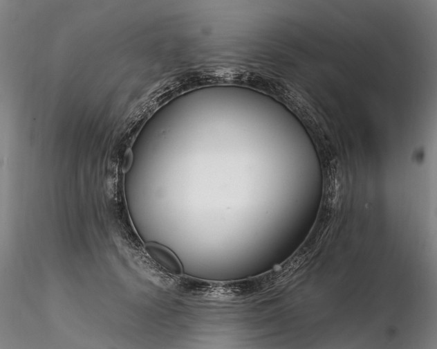 X0000116350656200912151352