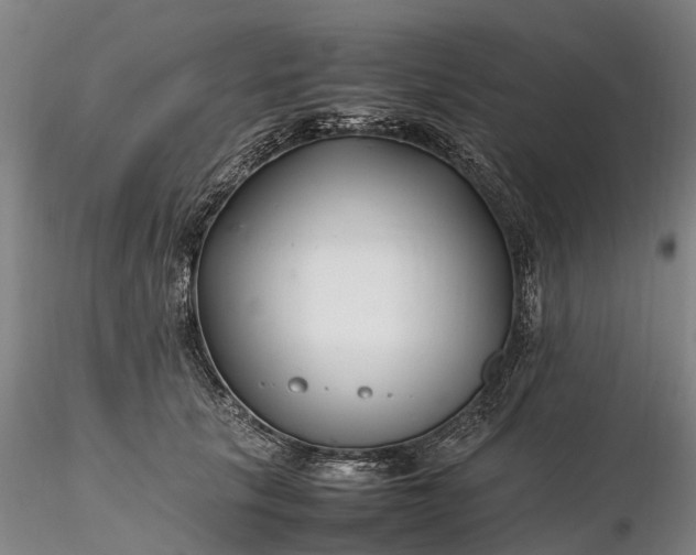 X0000116350657200912151352