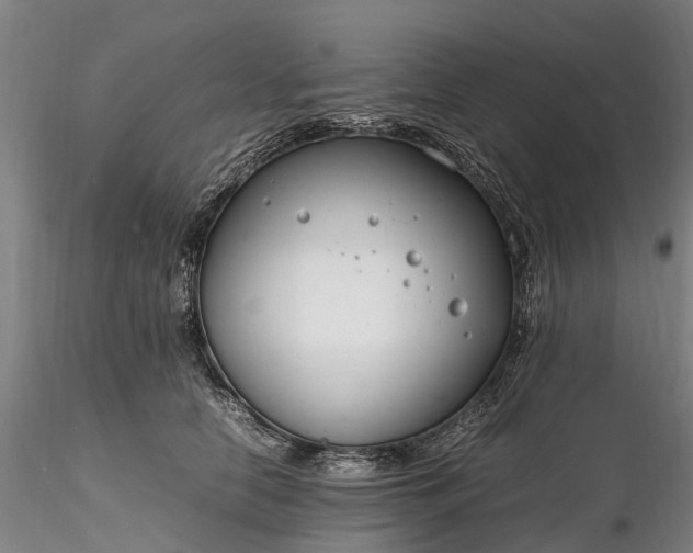 X0000116350658200912151352