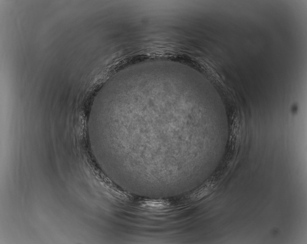 X0000116350659200912151352