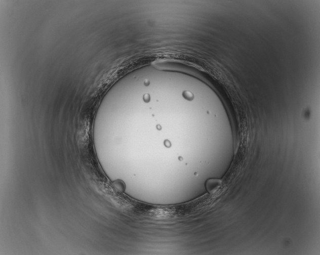 X0000116350660200912151352