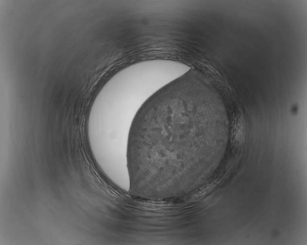 X0000116350661200912151352