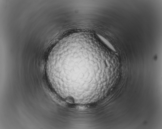 X0000116350662200912151352