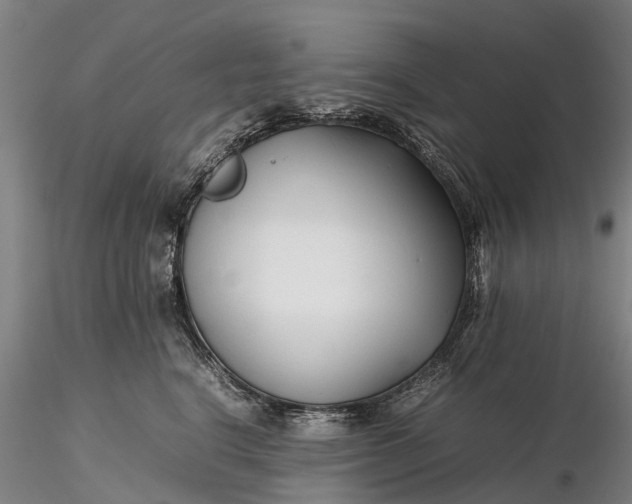 X0000116350664200912151352