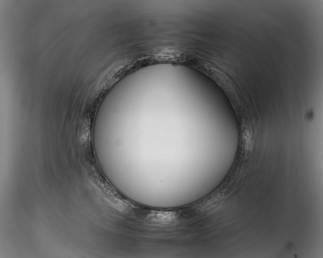 X0000116350665200912151352