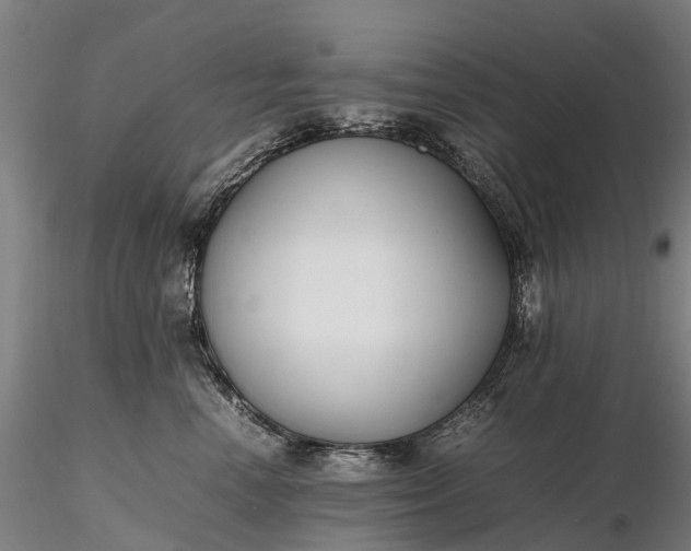 X0000116350666200912151352