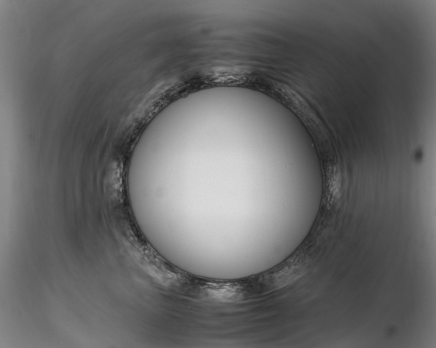 X0000116350667200912151352