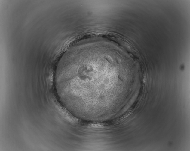 X0000116350668200912151352