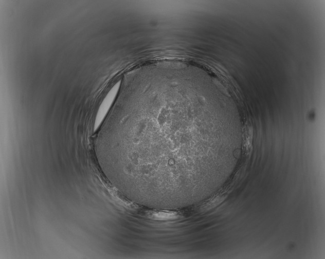 X0000116350669200912151353