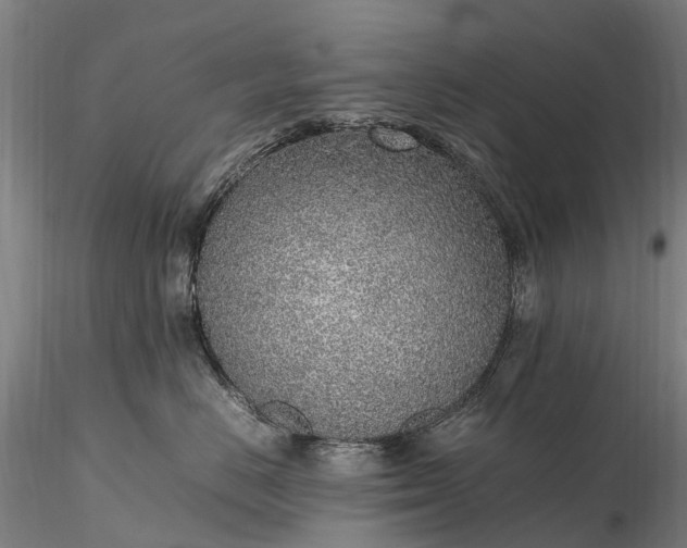 X0000116350670200912151353