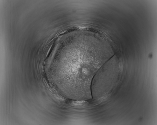 X0000116350671200912151353