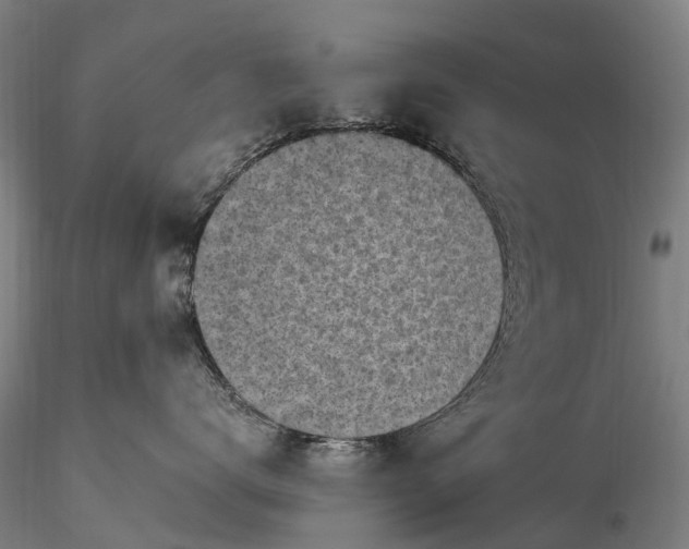 X0000116350672200912151353