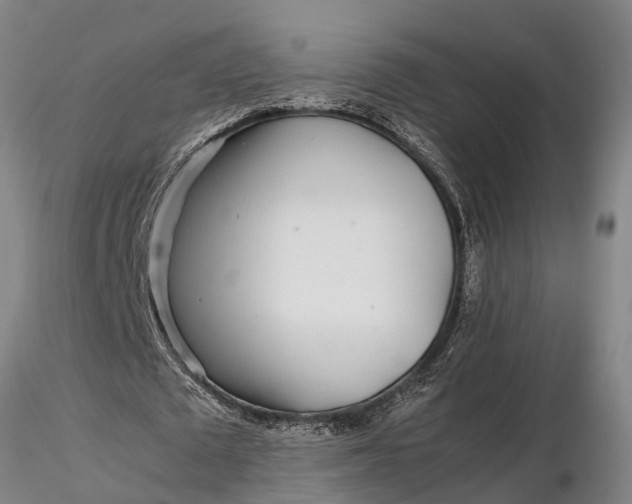 X0000116350673200912151352