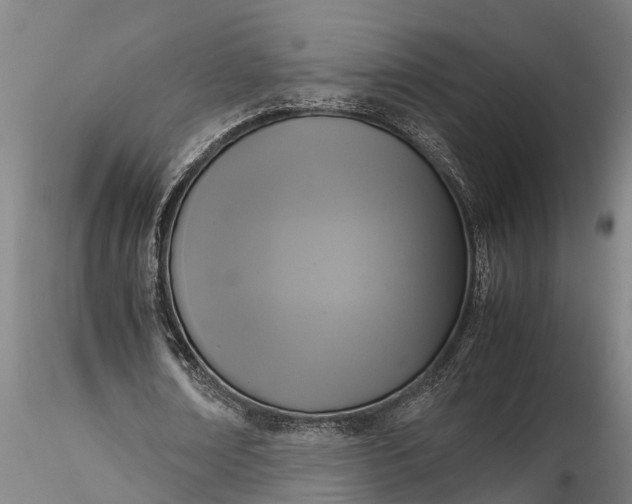 X0000116350674200912151352