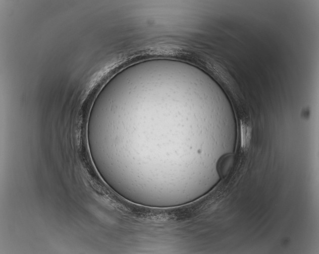 X0000116350675200912151352