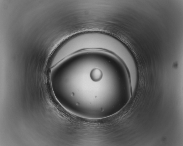 X0000116350676200912151352