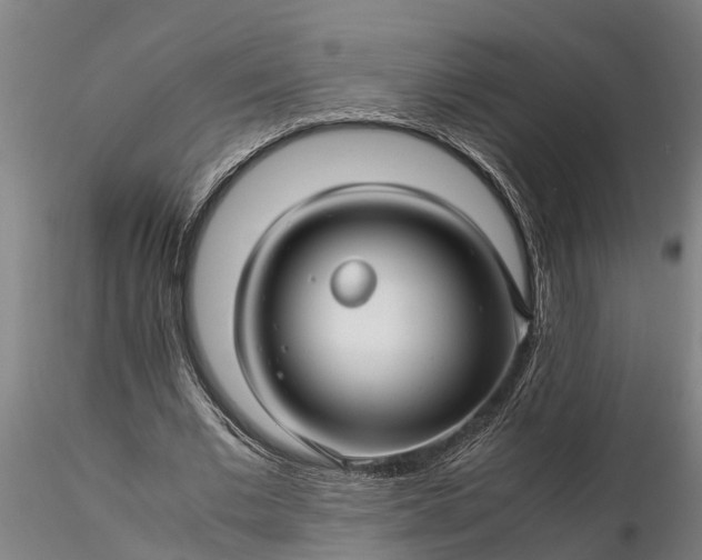 X0000116350677200912151352