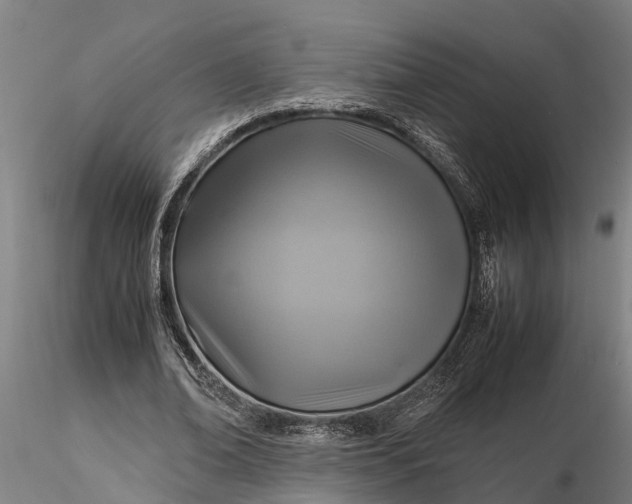 X0000116350678200912151352