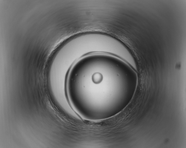 X0000116350680200912151352