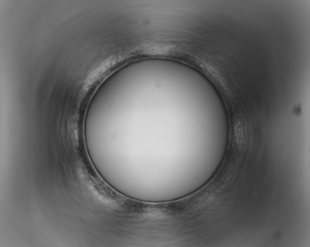 X0000116350682200912151352