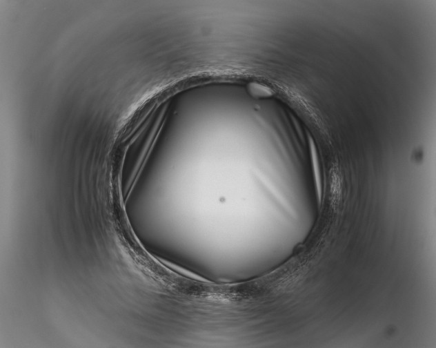 X0000116350684200912151352