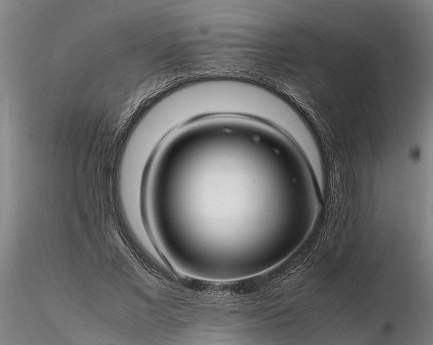 X0000116350685200912151352