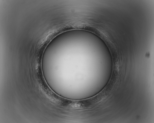 X0000116350687200912151352