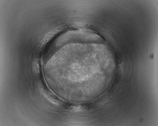 X0000116350688200912151352