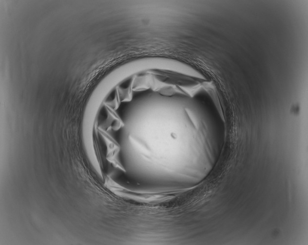 X0000116350689200912151351