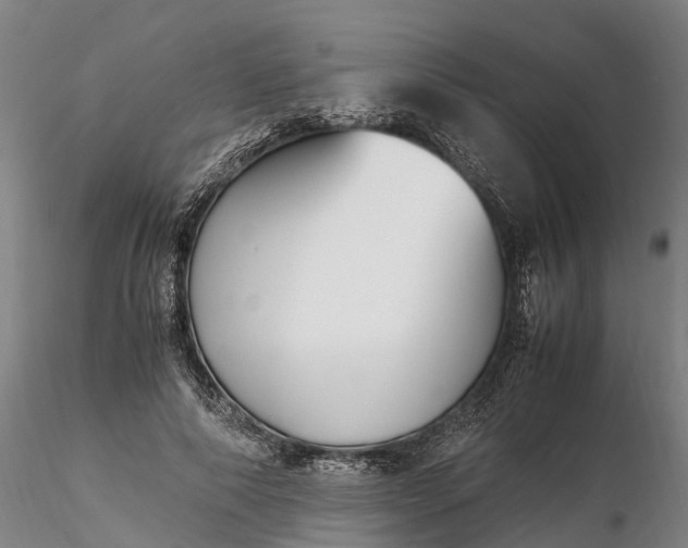 X0000116350690200912151351