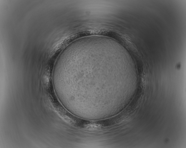 X0000116350691200912151351