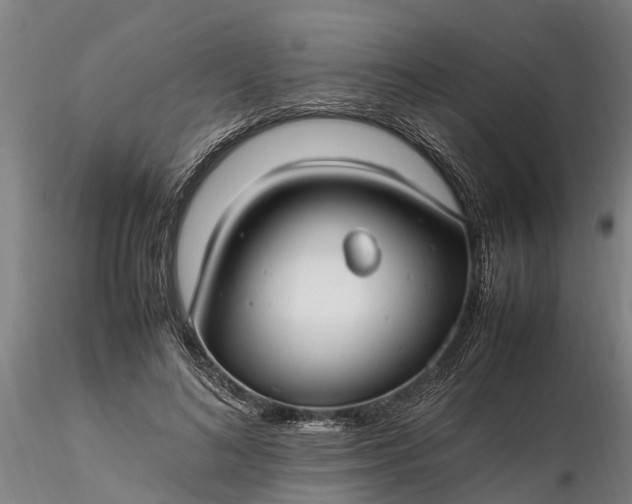 X0000116350692200912151351