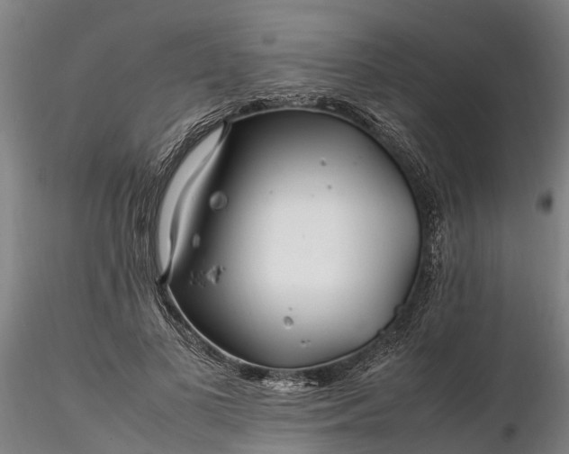 X0000116350693200912151351