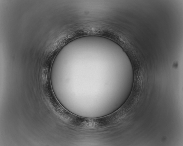 X0000116350695200912151351